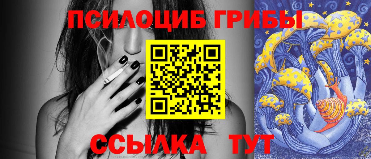 Серпухов  Псилоцибиновые грибы GOLDEN TEACHER  где купить наркоту  Вход с VPN 